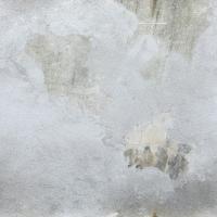 seamless wall plaster 0001